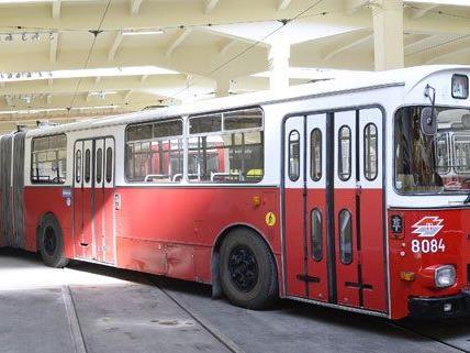 Ab 15. März können sich Museumsbesucher mit einem Oldtimer-Shuttlebus in die Remise nach Erdberg chauffieren lassen.