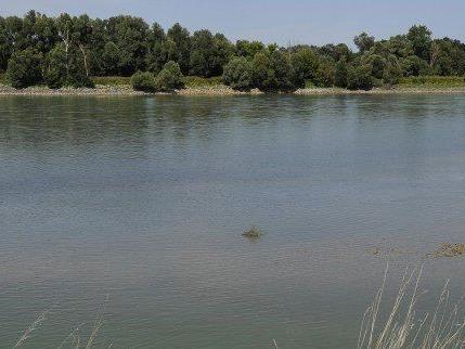 Die Donau ist stark betroffen von den Umweltsünden der Österreicher.