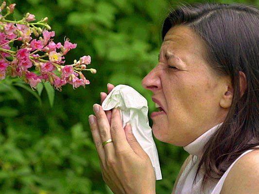 Die Pollen fliegen wieder - und die Allergiker leiden
