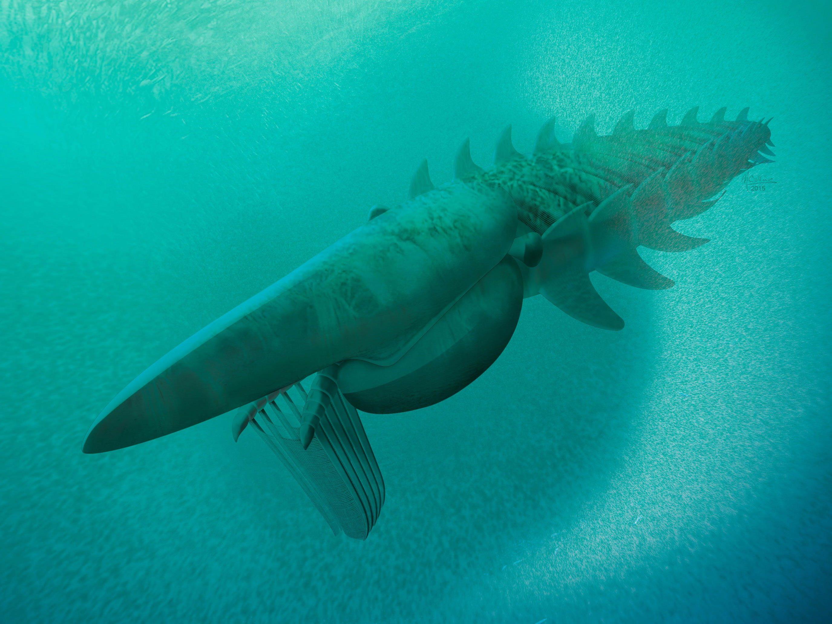 In den Meeren der Urzeit: Aegirocassis benmoulae war mit Fangkorb auf Nahrungssuche.