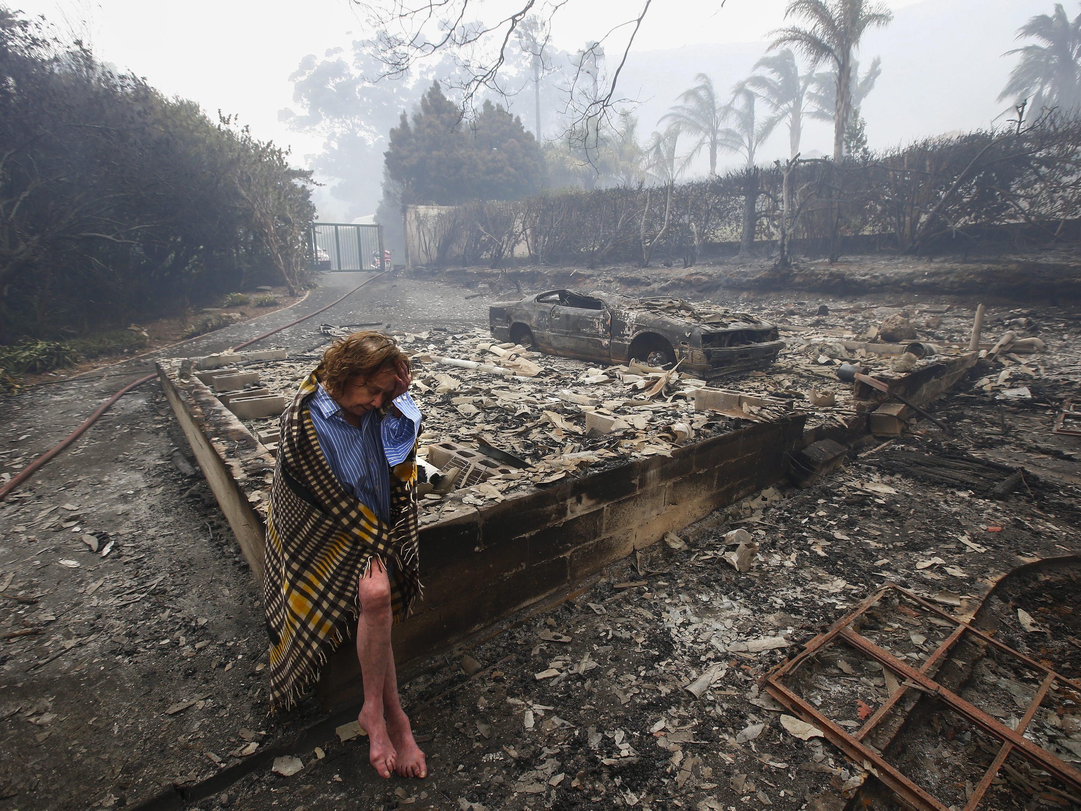 Auch tausende Hektar Land gingen bisher in Flammen auf.