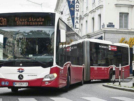 Diese Gelenkbusse werden auf der Linie 13A eingesetzt.