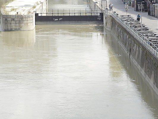 Der Dieb sprang in den Donaukanal