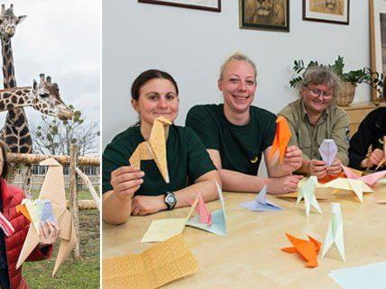 Dagmar Schratter setzt auf die Unterstützung von Giraffen-Pflegern und Besuchern beim Origami Falten