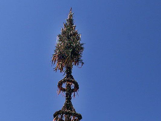 Der vielleicht kleinste Maibaum Wiens wird am Schlingermarkt stehen Der vielleicht kleinste Maibaum Wiens wird am Schlingermarkt stehen