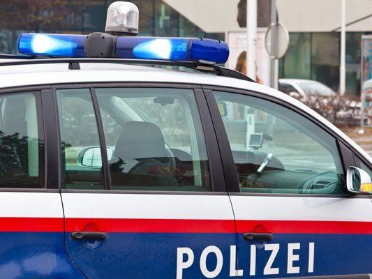 Laut Angaben der Polizei sind alle Verdächtigen geständig.