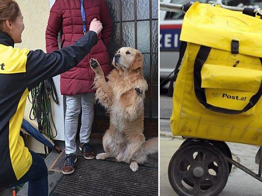 Für ein besseres Verhältnis zwischen Postler und Hund soll eine neue Fressnapf-Aktion sorgen