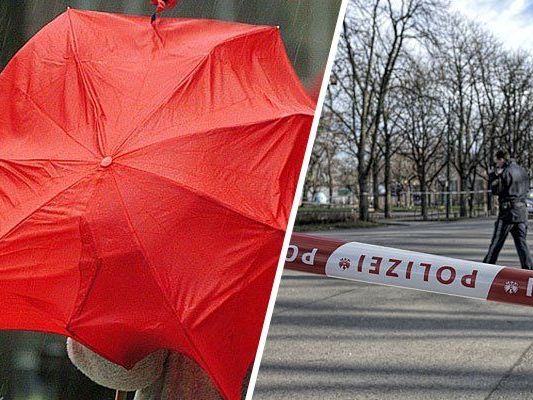 Für Wien wurde ein Temperatursturz und Sturm prognostiziert