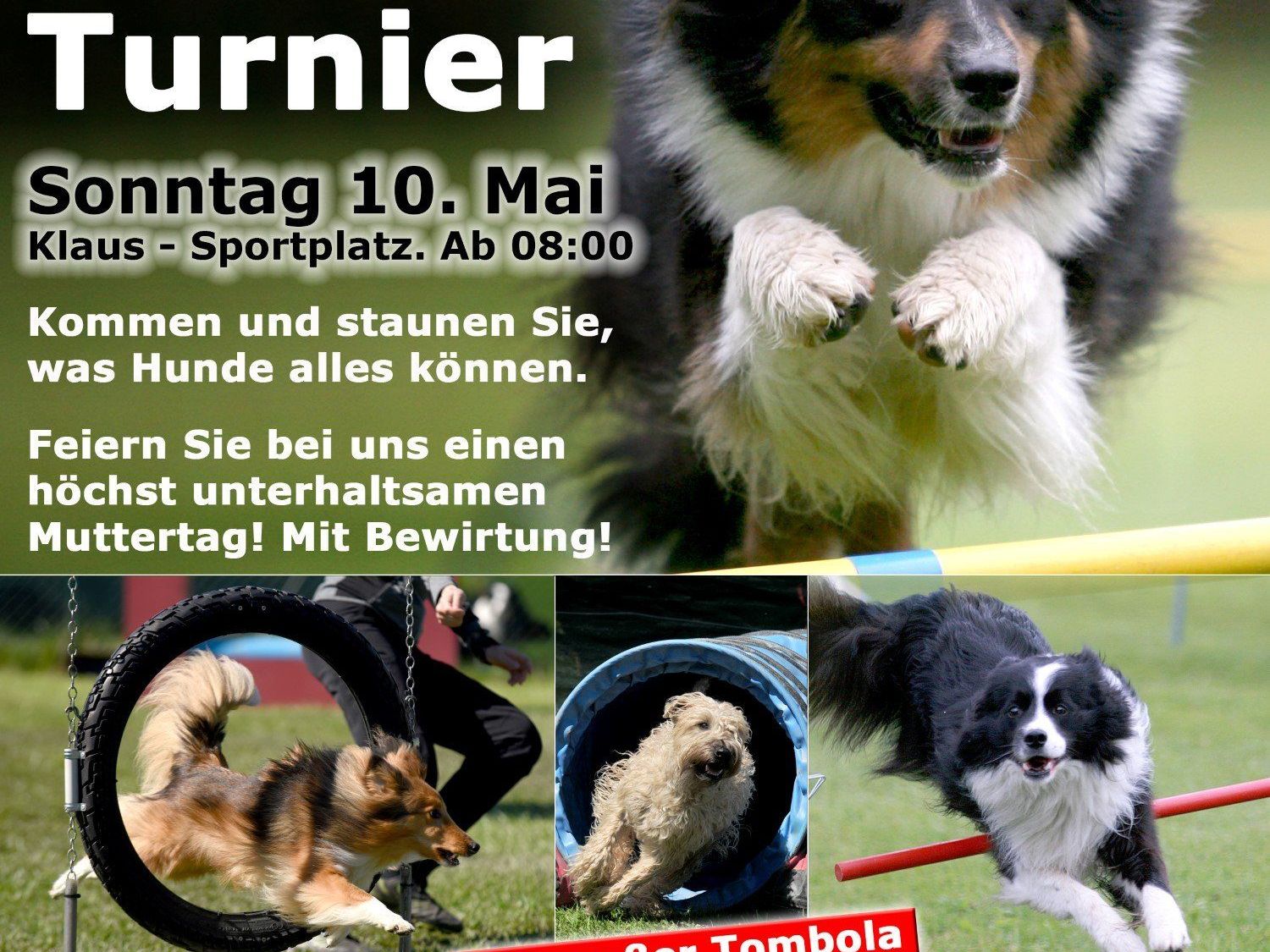 Einladung zum Agility Turnier Einladung zum Agility Turnier