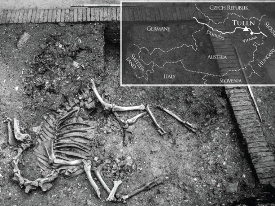 2006 wurde vollständiges Skelett entdeckt - Stammte aus Zeit der zweiten Türkenkriege