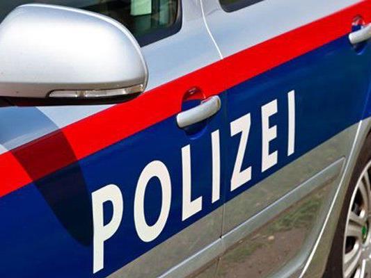 Die Polizei konnte am Dienstag Abend einen Selbstmörder bei der Wiener Reichsbrücke retten