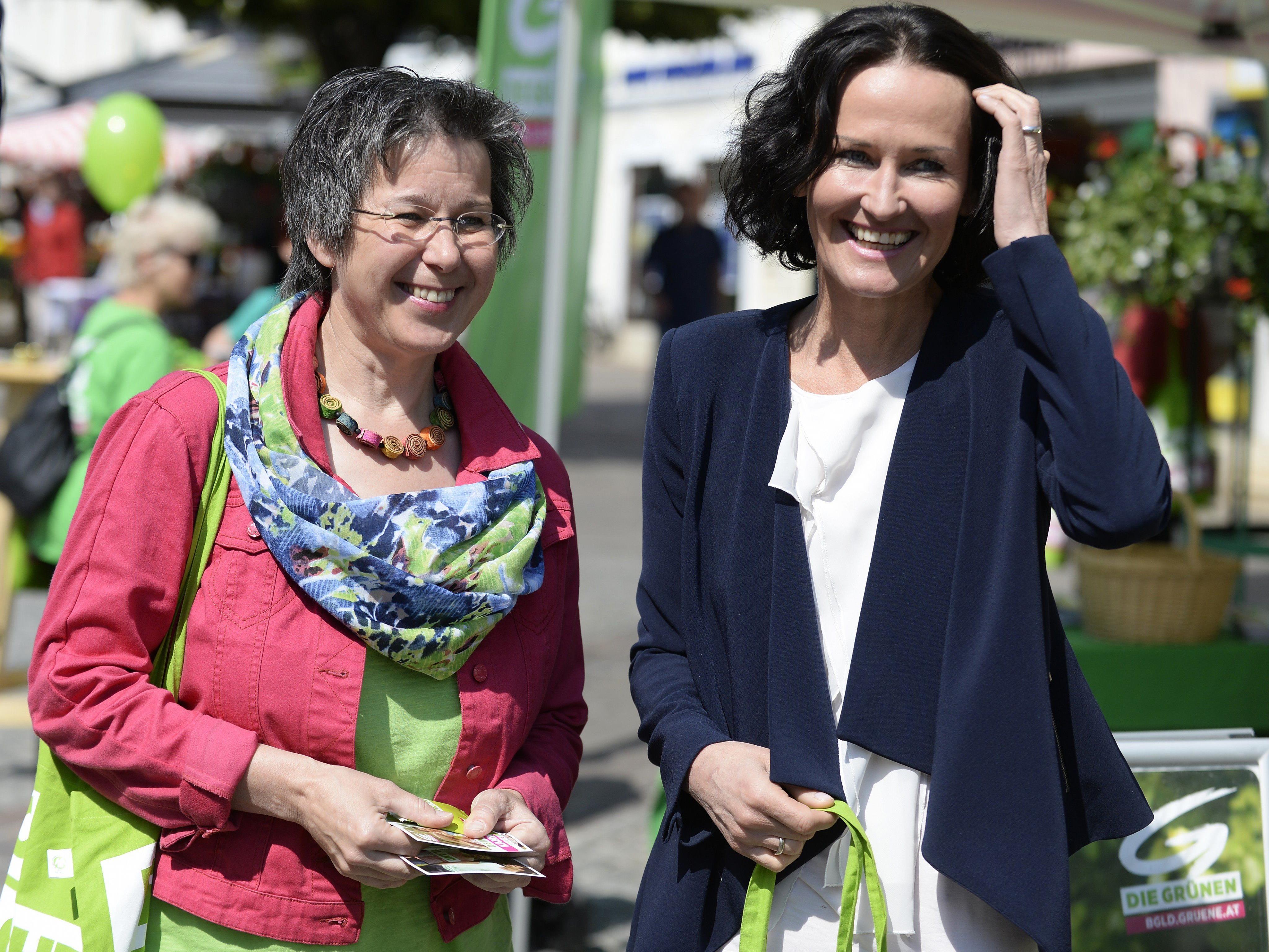 Die Grünen sehen ihre Chance bei der Landtagswahl im Burgenland.