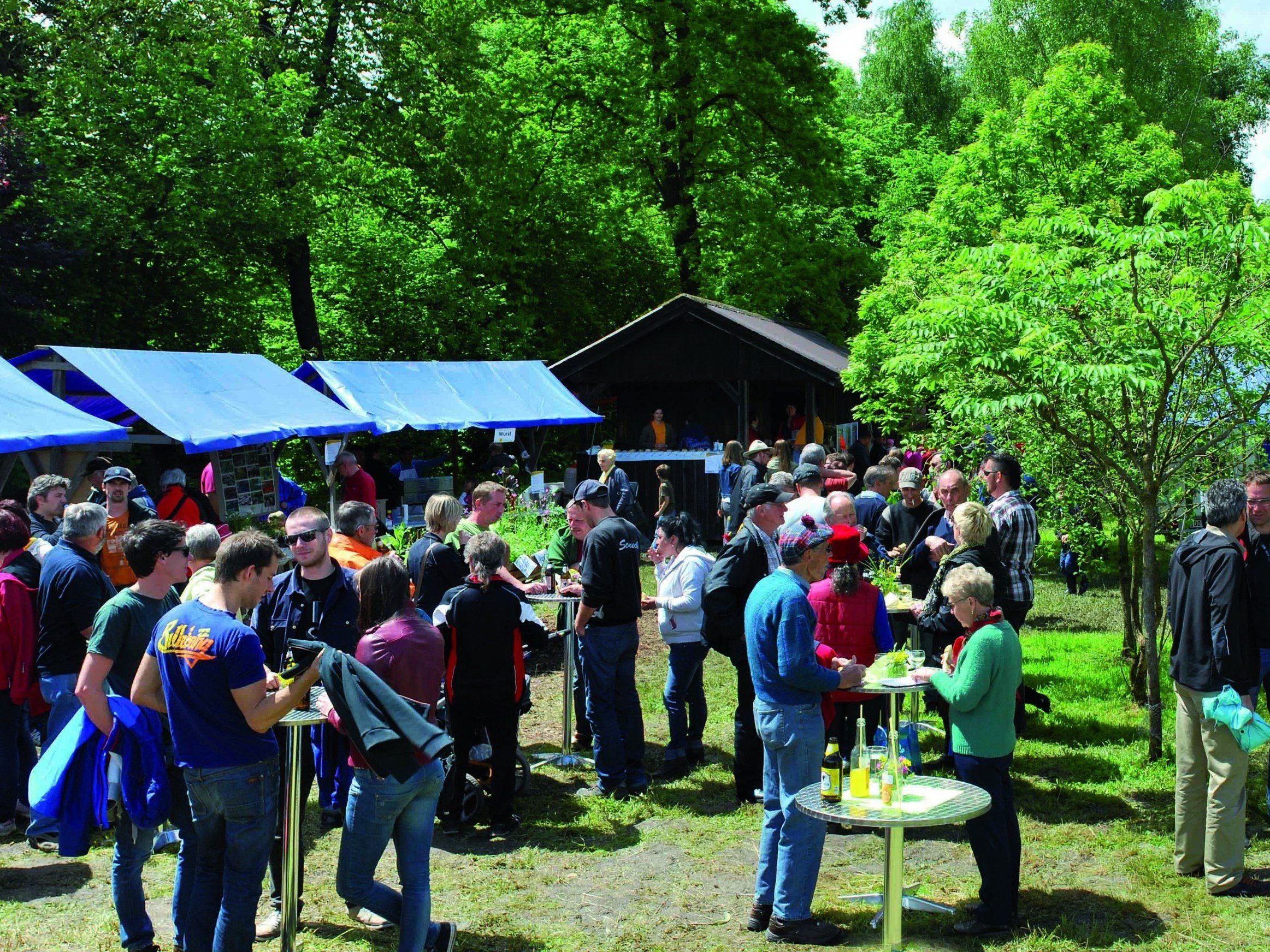 Lustenaus Imker laden zum Bienenfest Lustenaus Imker laden zum Bienenfest
