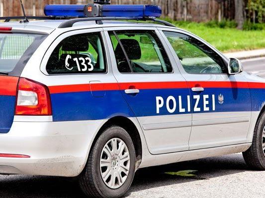 Die Polizei nahm den mutmaßlichen Einbrecher in Wien fest.