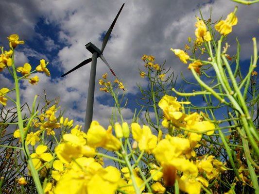 Die Wien Energie setzt in Zukunft verstärkt auf erneuerbare Energie. Die Wien Energie setzt in Zukunft verstärkt auf erneuerbare Energie.