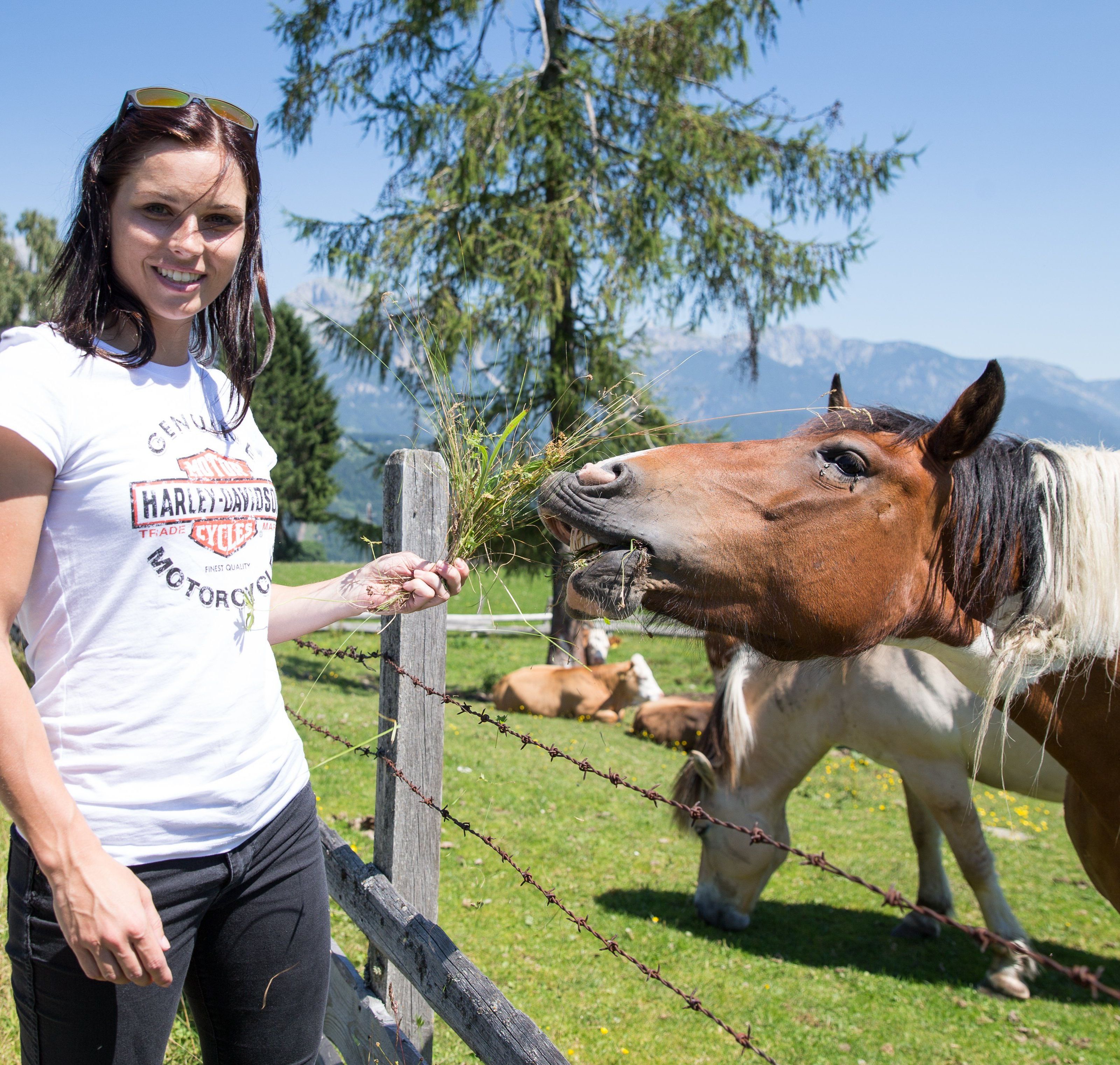 Salzburgerin via Facebook: "Ziel war es, eine Lösung für mein sportliches Umfeld zu finden." Salzburgerin via Facebook: "Ziel war es, eine Lösung für mein sportliches Umfeld zu finden."