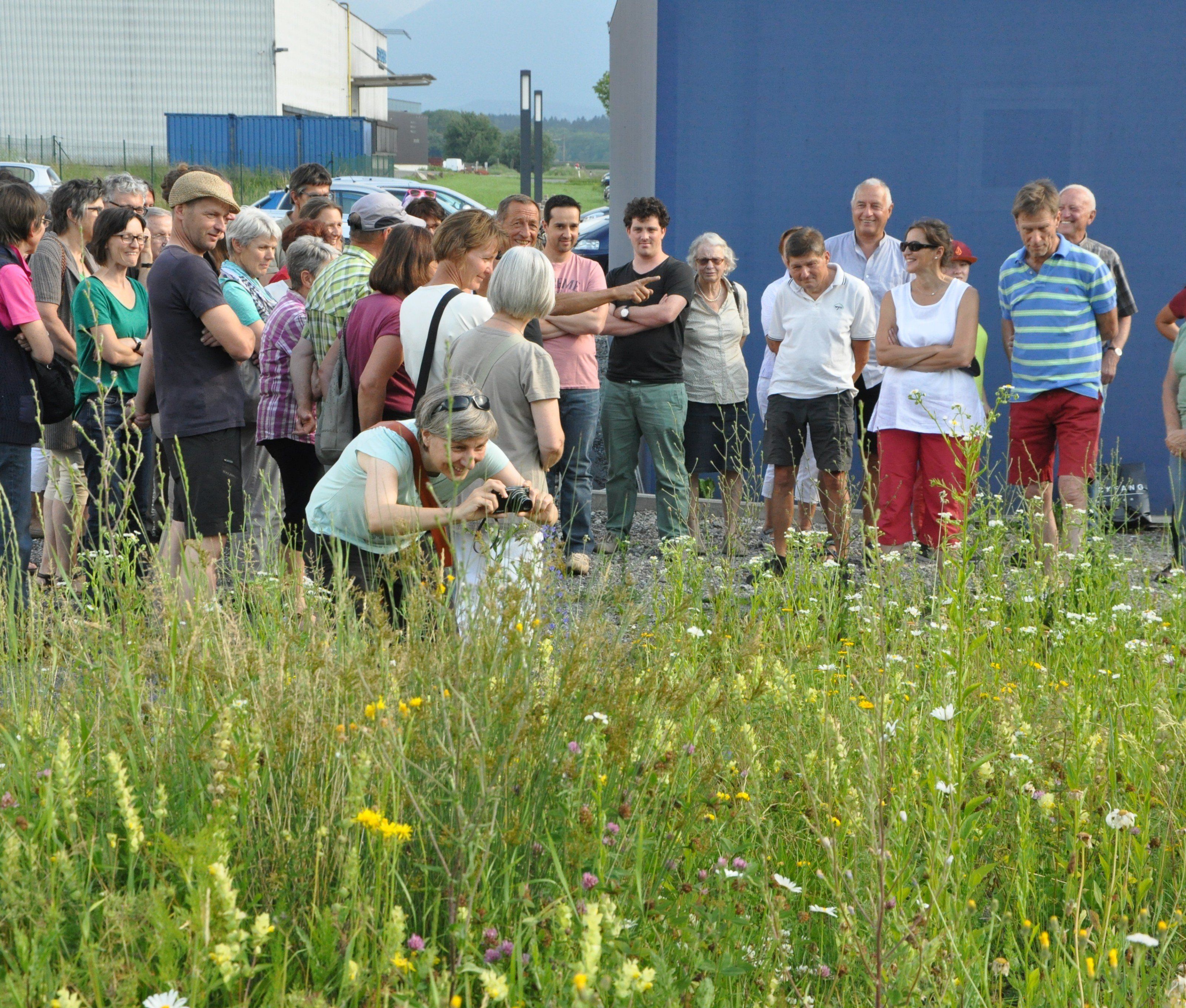 Großes Interesse bei der Exkursion blühendes Firmengelände bei Omicron. Großes Interesse bei der Exkursion blühendes Firmengelände bei Omicron.
