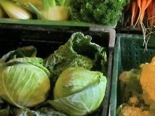 Symbolfoto Symbolfoto