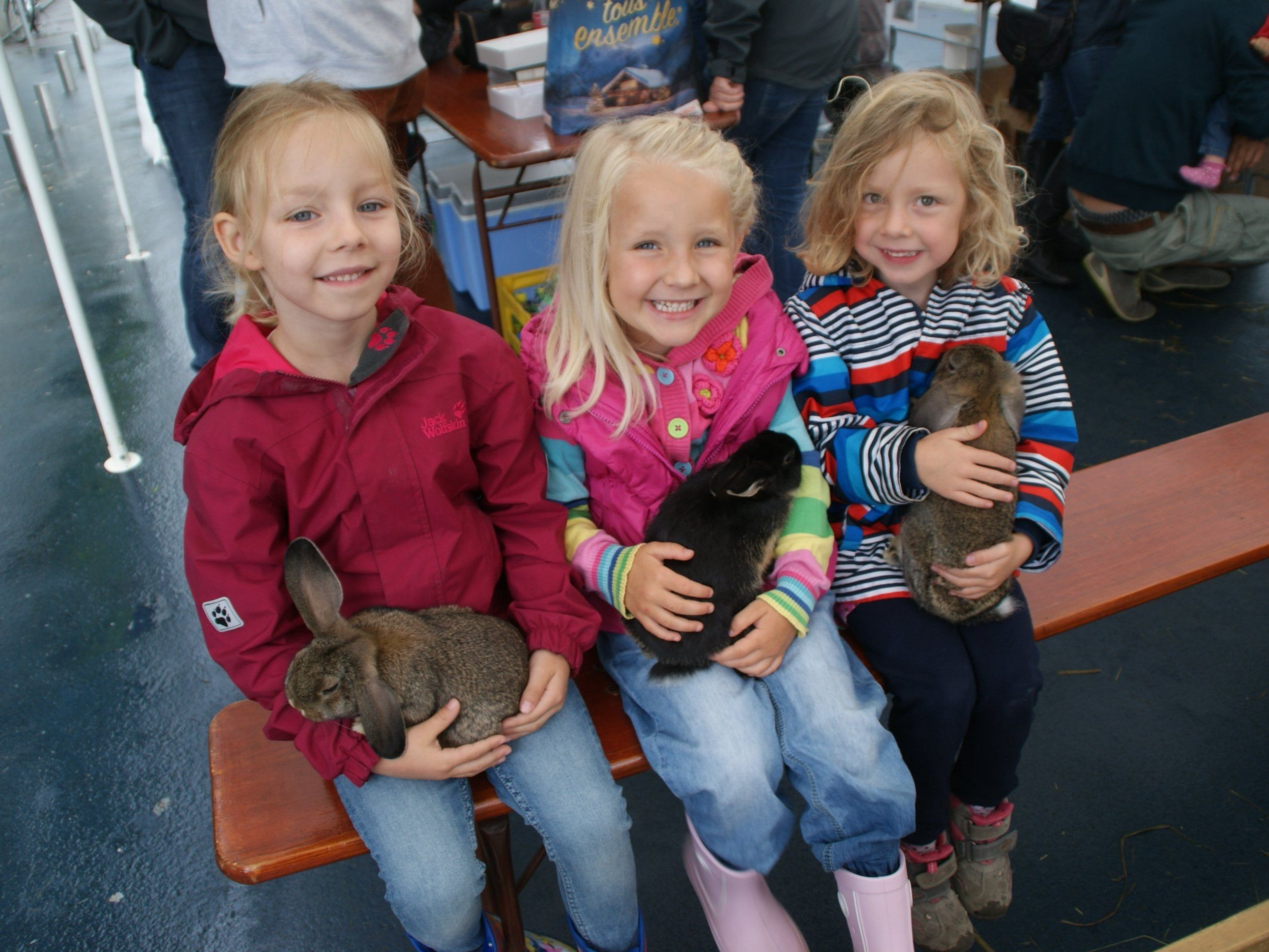 Der Streichelzoo zog die Kinder magisch an! Der Streichelzoo zog die Kinder magisch an!