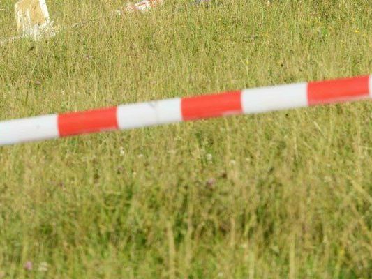 Die 31-Jährige lag tot im Gras. Die 31-Jährige lag tot im Gras.