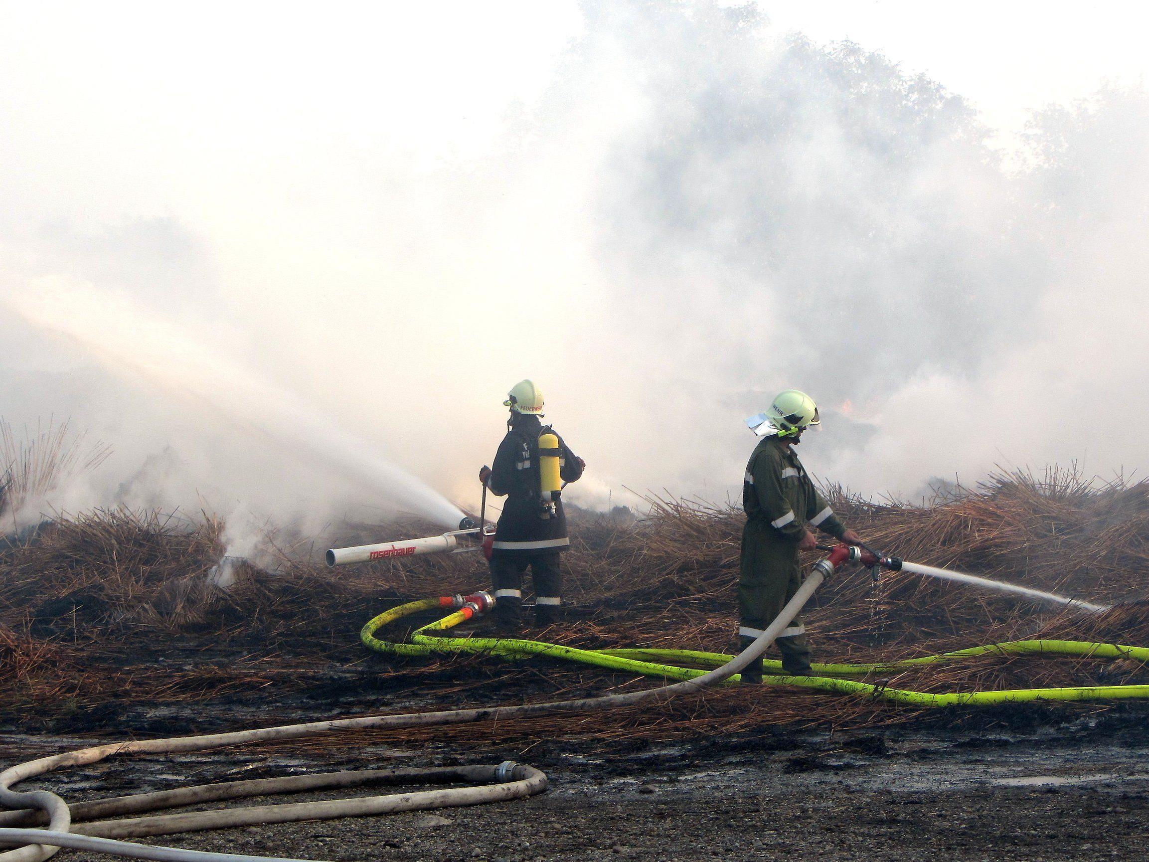 Zwei Feldbrände aufgrund hoher Temperaturen im Burgenland