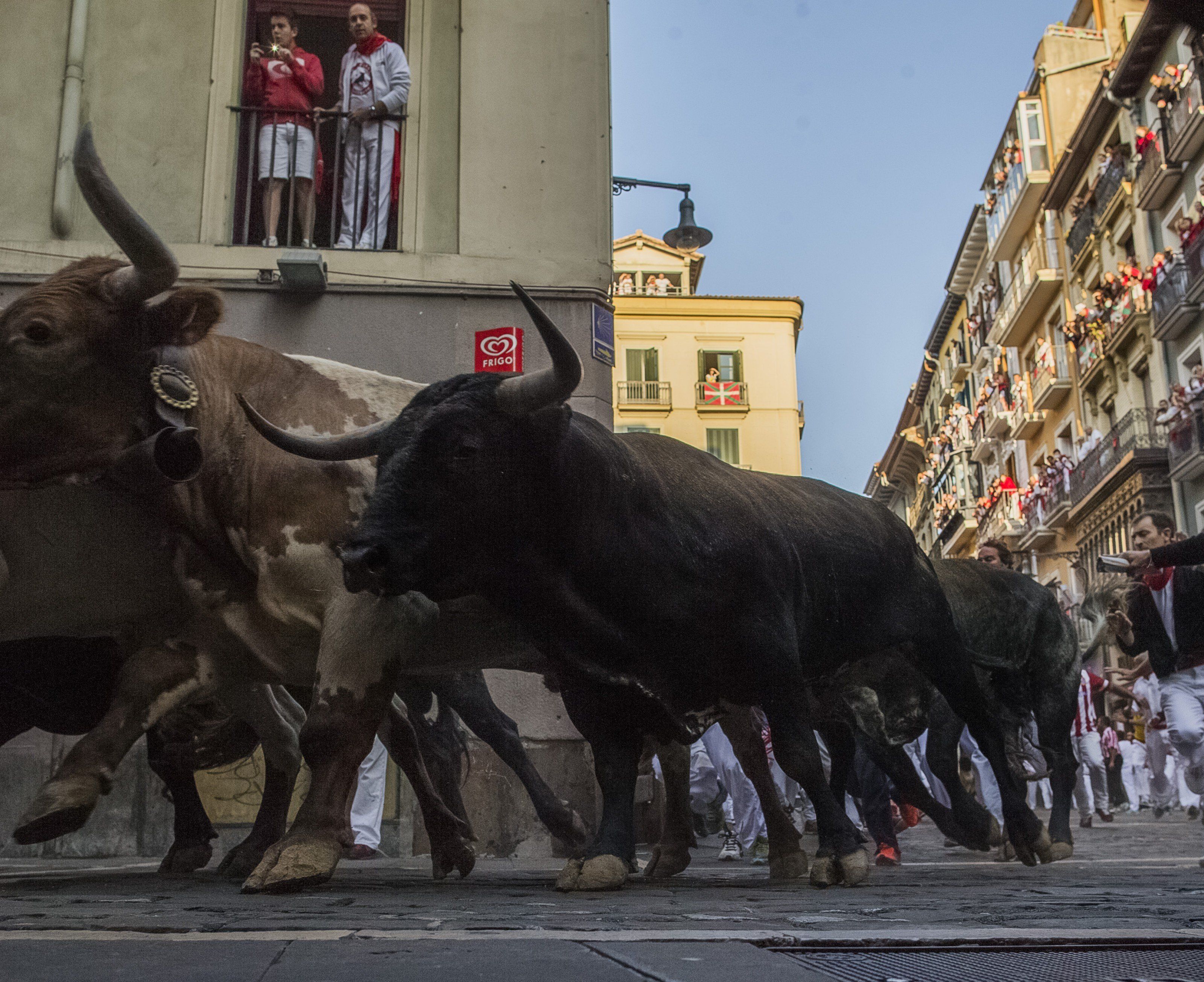 Ein Todesopfer bei Stiertreiben nahe Alicante Ein Todesopfer bei Stiertreiben nahe Alicante