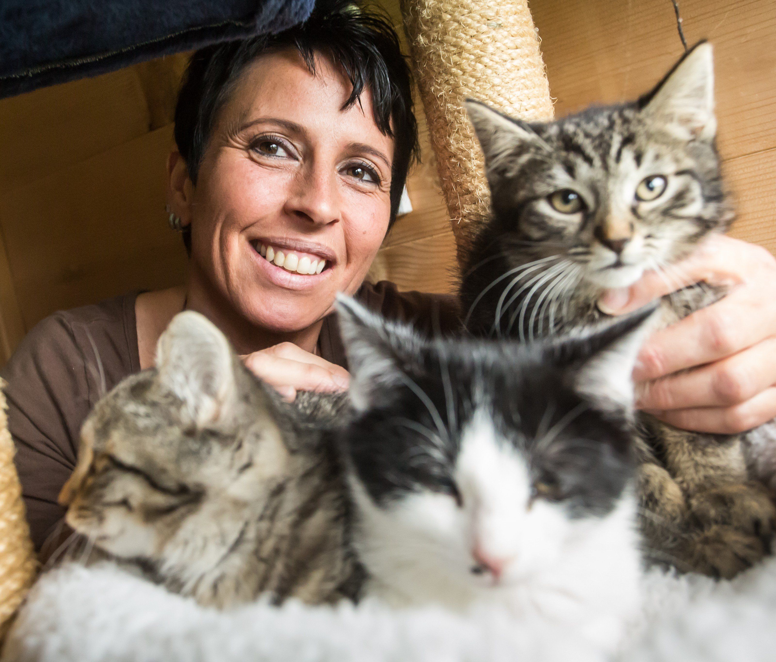 Tierschützerin aus Leidenschaft und Überzeugung: Alexandra von der Katzenpflegestelle Vandans. Tierschützerin aus Leidenschaft und Überzeugung: Alexandra von der Katzenpflegestelle Vandans.