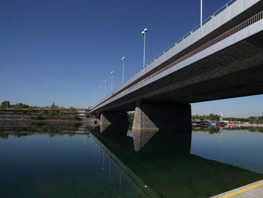 Der Jugendliche soll nahe der Reichsbrücke untergegangen sein. Der Jugendliche soll nahe der Reichsbrücke untergegangen sein.