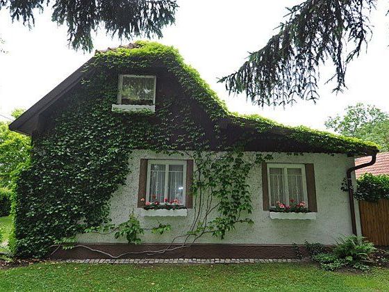 In diesem Haus in Donaustadt geschah die Bluttat