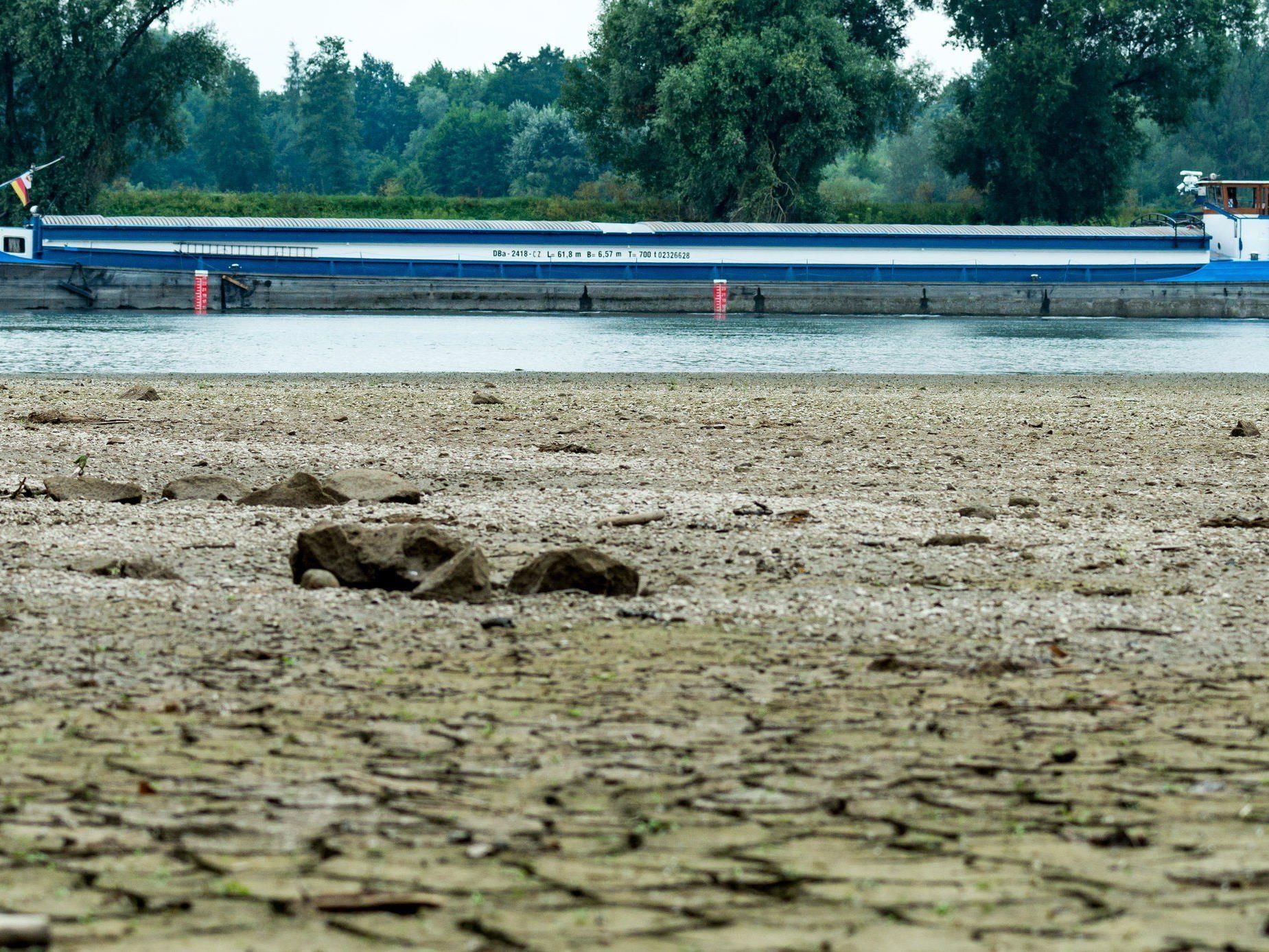 Die Trockenheit sorgt für eine angespannte Situation bei der Donauschifffahrt.