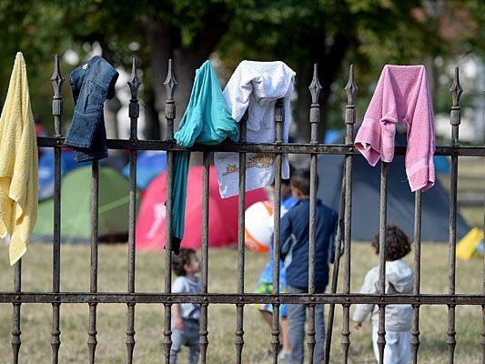 Bürgermeister Babler ist empört über die Zustände in Traiskirchen.