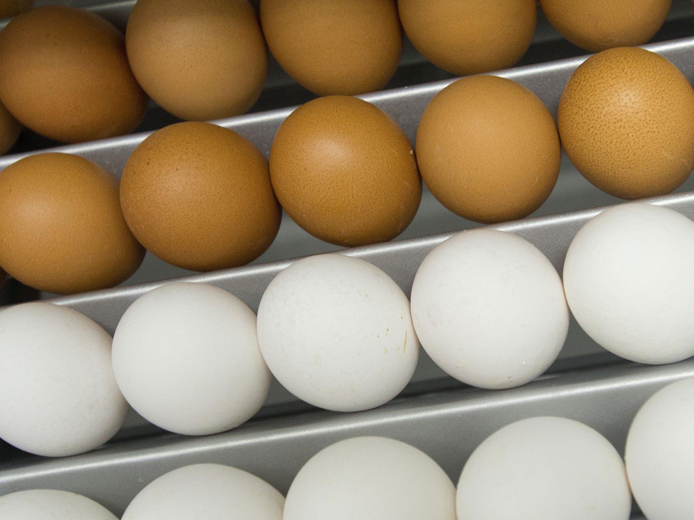 Spar ruft wegen Salmonellen-Verdachts seine Eier-Produkte zurück.