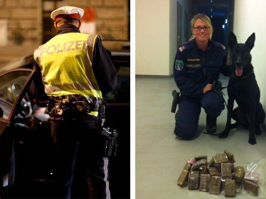 Spürnase Cantor kam bei der Kontrolle zum Einsatz. Spürnase Cantor kam bei der Kontrolle zum Einsatz.