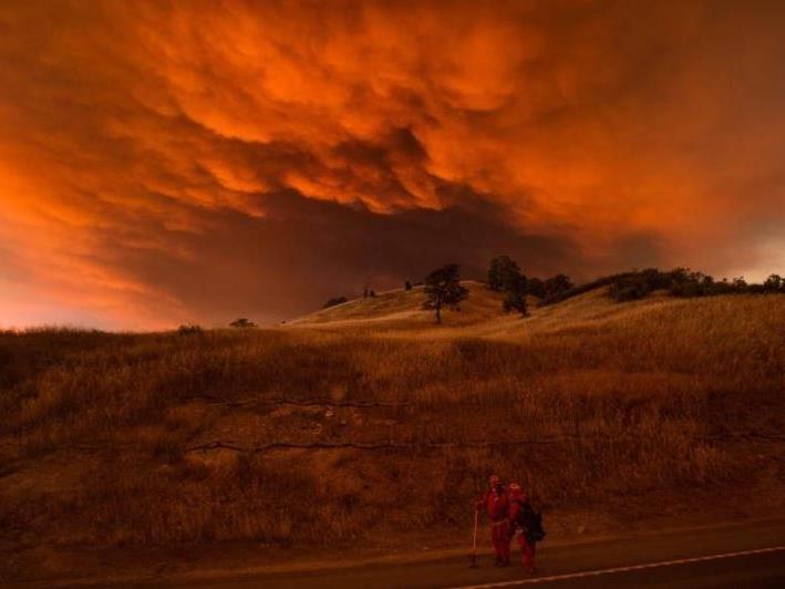 Heftige Waldbrände wüten in Kalifornien.