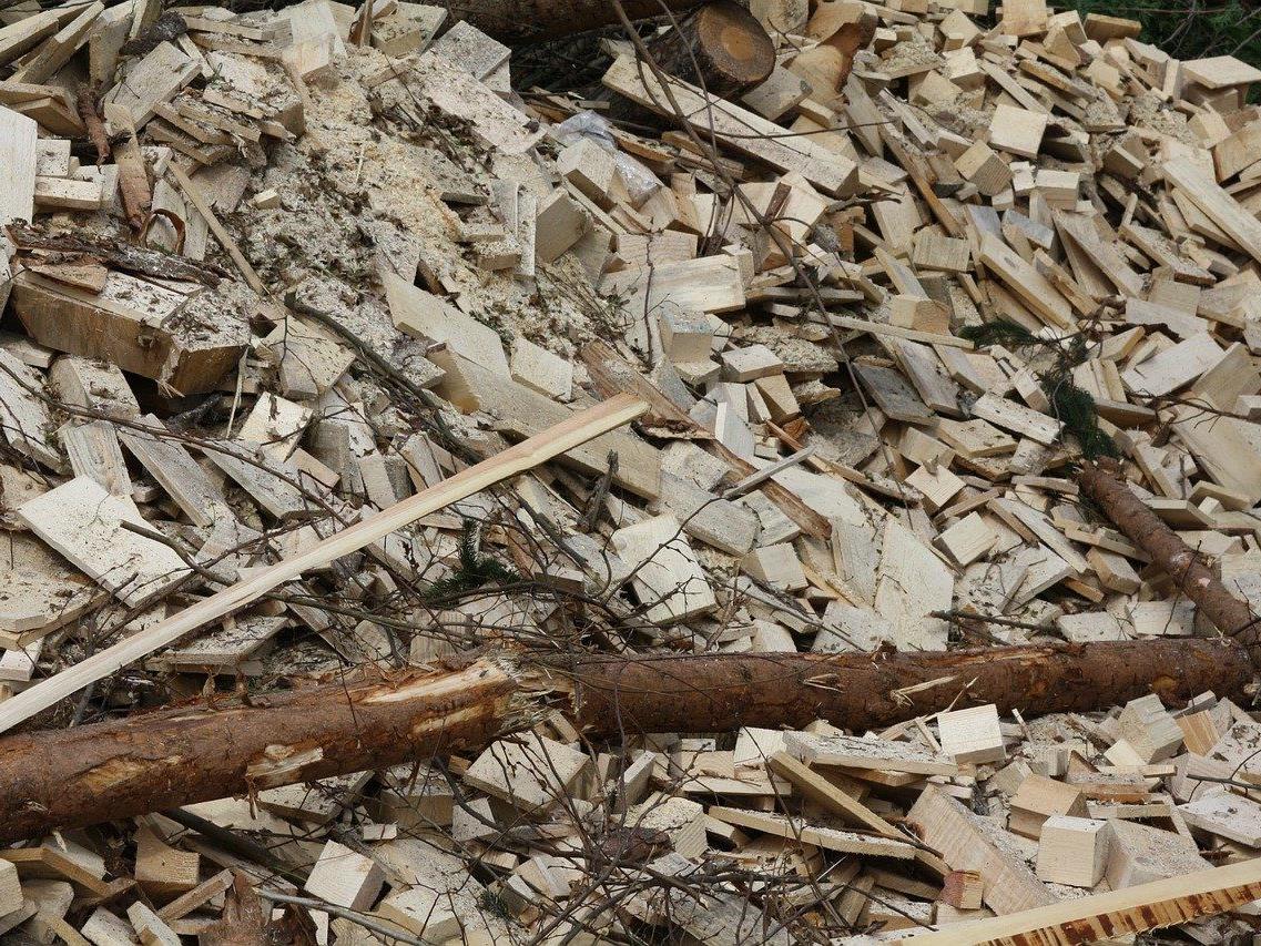 Holz ist als Biomasse-Produkt am meisten verbreitet.