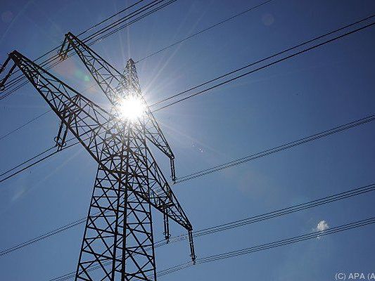 Preissenkend wirkte vor allem der Energiesektor Preissenkend wirkte vor allem der Energiesektor