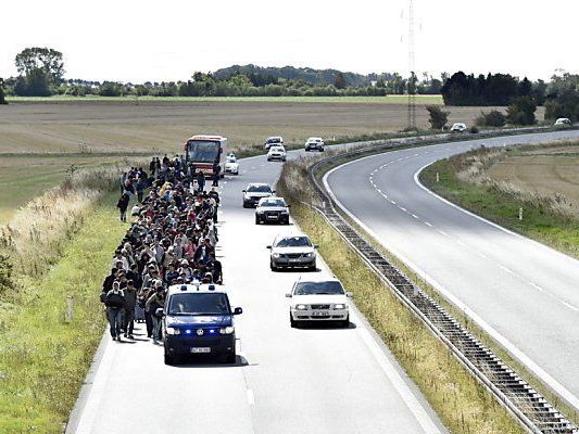 Migranten auf dänischer Autobahn am Weg in Richtung Schweden Migranten auf dänischer Autobahn am Weg in Richtung Schweden
