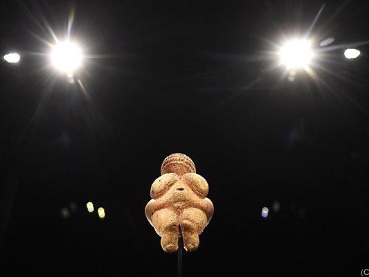 Die Venus von Willendorf im neuen Venuskabinett Die Venus von Willendorf im neuen Venuskabinett