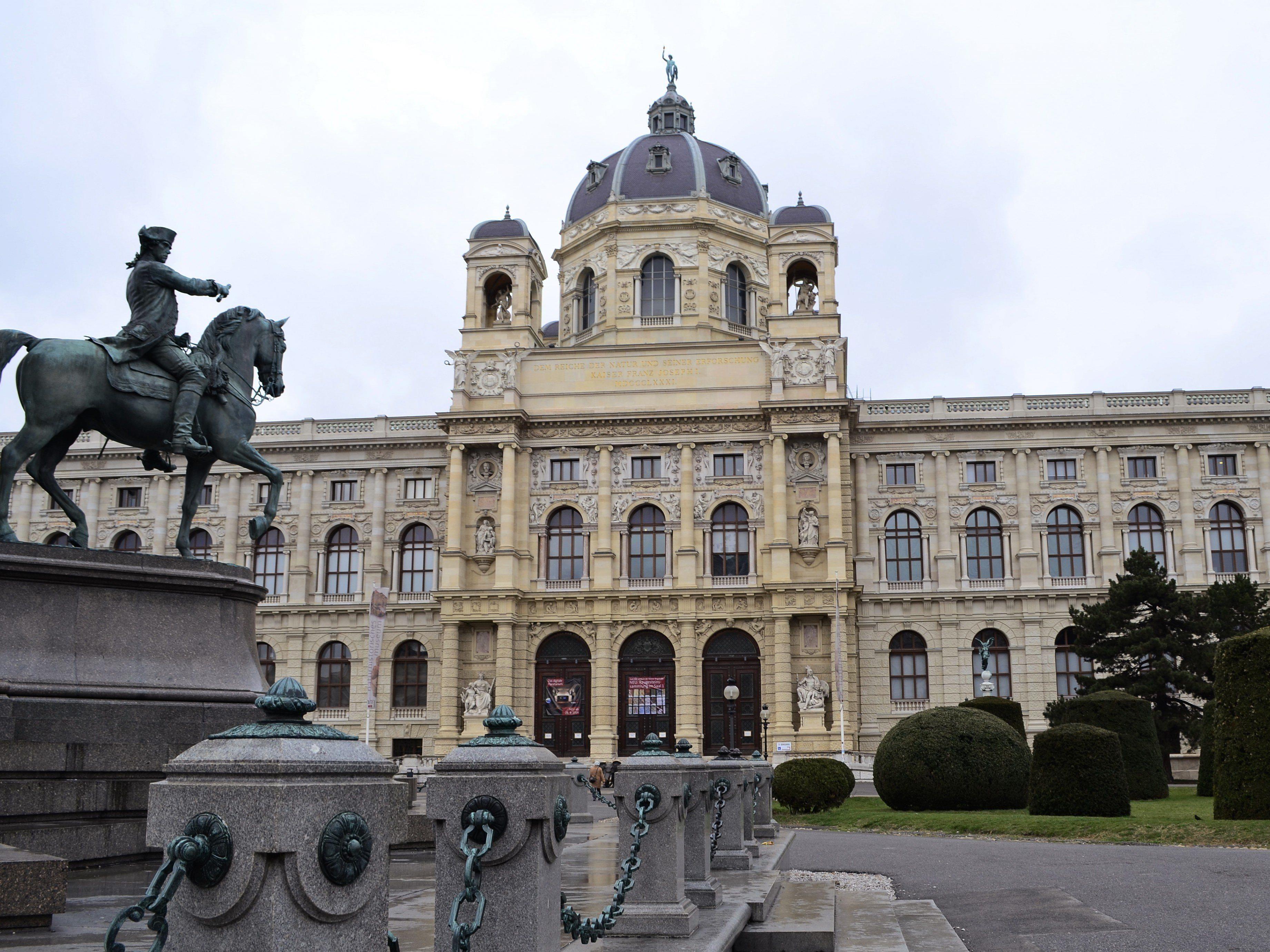 Das Naturhistorische Museum in Wien wird die Benefizveranstaltung beherbergen.