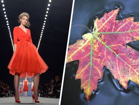 Diesen Herbst sind knallige Rottöne voll im Trend. Diesen Herbst sind knallige Rottöne voll im Trend.