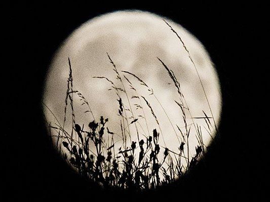 Eine totale Super-Ernte-Vollmond-Finsternis steht uns am 28. September bevor Eine totale Super-Ernte-Vollmond-Finsternis steht uns am 28. September bevor