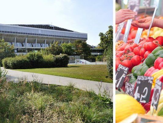 Eindrücke aus Rudolfsheim-Fünfhaus. Eindrücke aus Rudolfsheim-Fünfhaus.