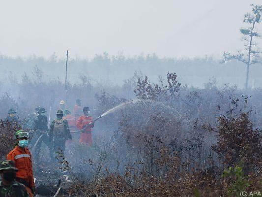 Kampf gegen die Waldbrände in Indonesien