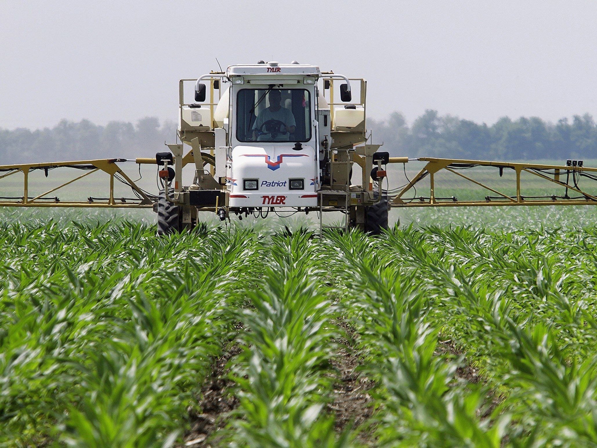 Die Grünen fordern ein Verbot von Glyphosat. Die Grünen fordern ein Verbot von Glyphosat.