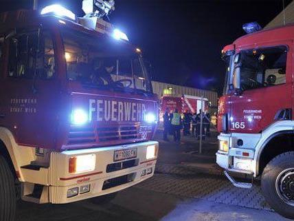 Ein Scheunenbrand im Bezirk Tulln hielt die Feuerwehr in Atem