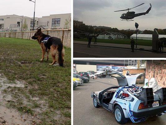 Eine völlig unbrauchbare Hundezone, Helikopter über dem Heldenplatz und ein DeLorean vor dem Saunaclub