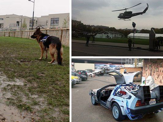 Eine völlig unbrauchbare Hundezone, Helikopter über dem Heldenplatz und ein DeLorean vor dem Saunaclub Eine völlig unbrauchbare Hundezone, Helikopter über dem Heldenplatz und ein DeLorean vor dem Saunaclub