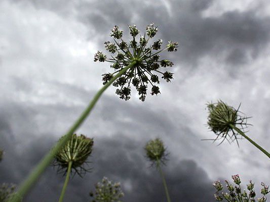 Trüb sind die Wetteraussichten für kommende Woche