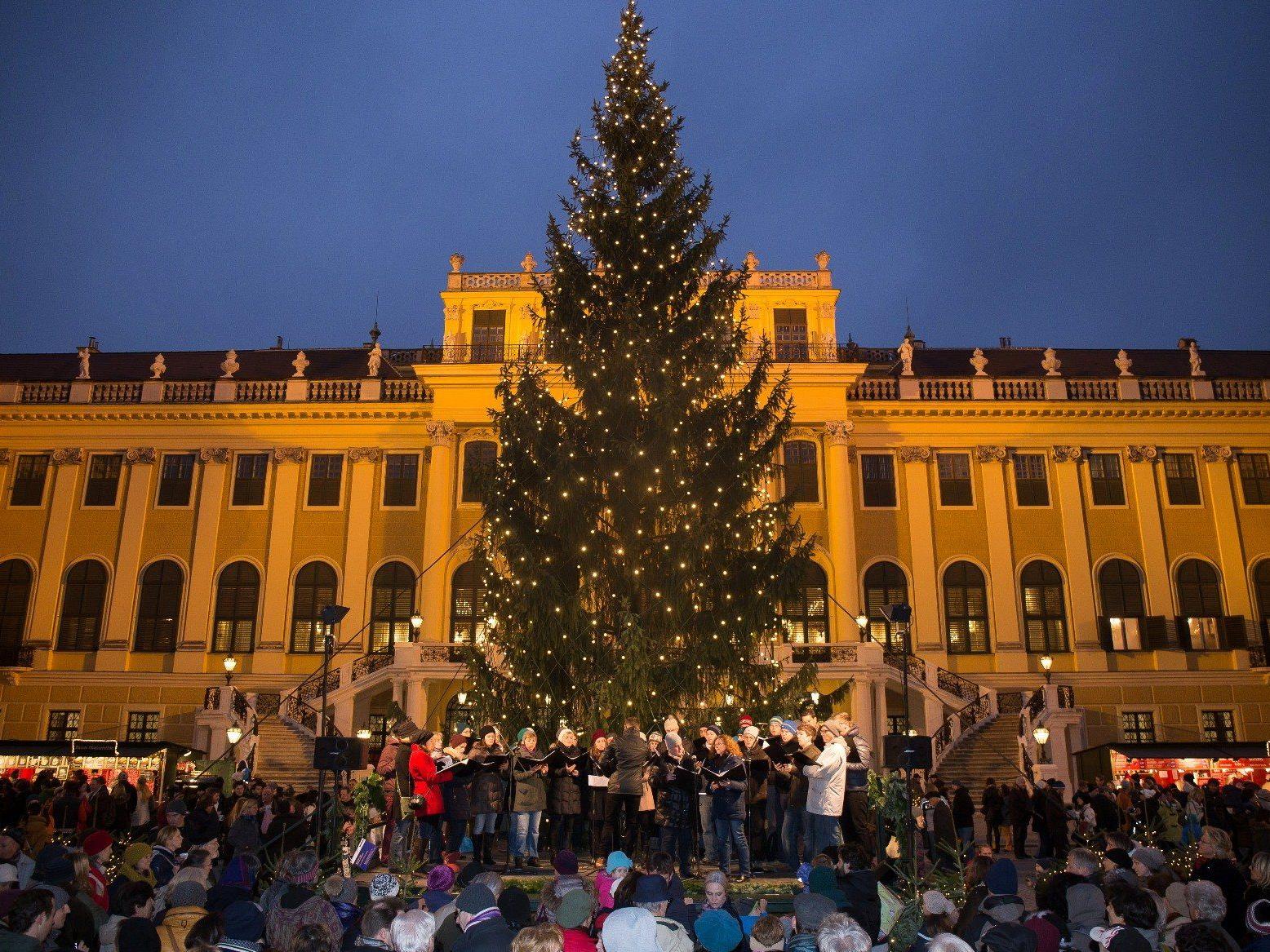 Der traditionelle Weihnachtsmarkt vor dem Schloss Schönbrunn.