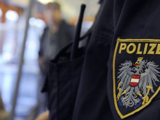 Zufällig anwesende Polizisten konnten den Dieb festnehmen.